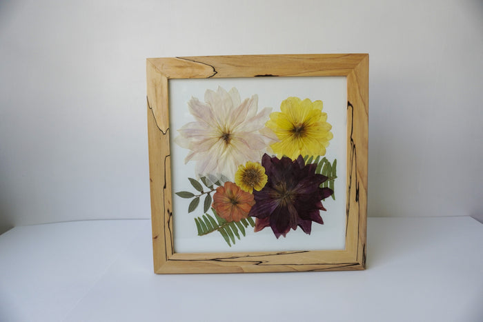 The Nancy Frame