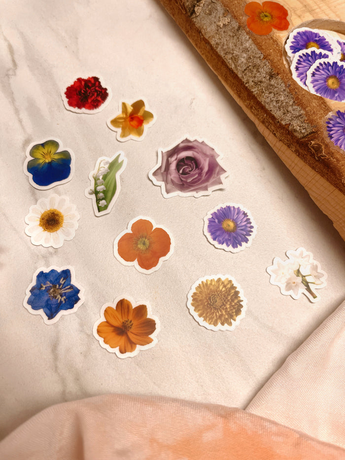 Stickers of the Month Pack