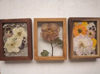 6x8 Petite Frame