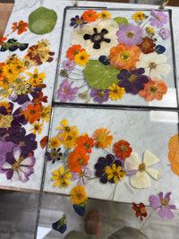 Wildflower Frame Class 9/25