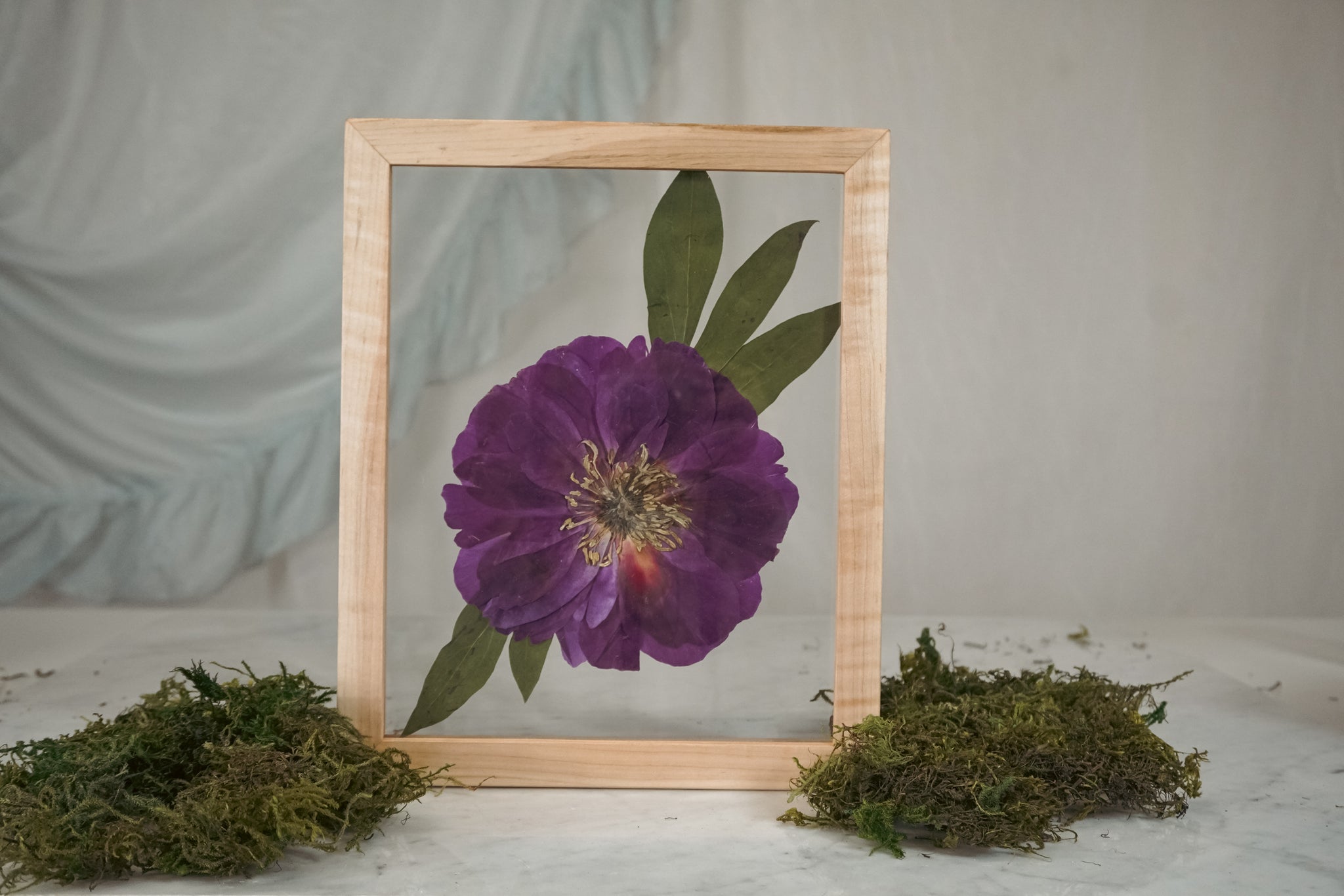 Skylar Frame