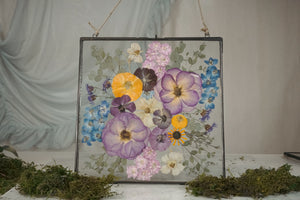 Suzie Frame